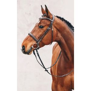 Schockemohle Sports Montreal Anatomic