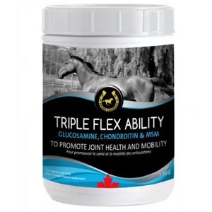 Golden Horseshoe Triple Flex Ability