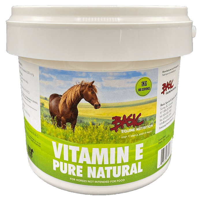 BASIC-EQUINE-80106