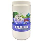 BASIC-EQUINE-80262