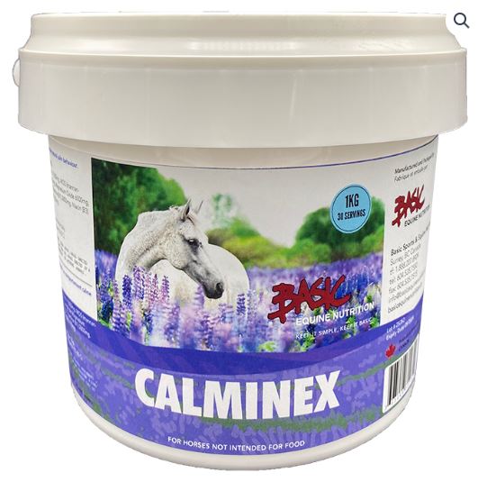 BASIC-EQUINE-80262-1klg
