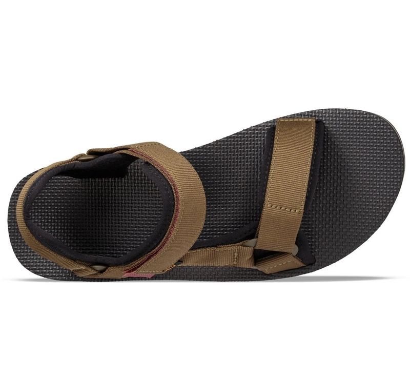 Teva-1106786-DOL-top