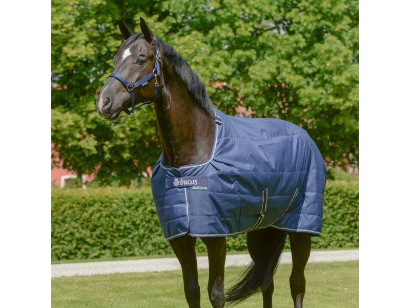193500-2_liner-quilt-bucas--300-g--dermo-care-podsivka--navy