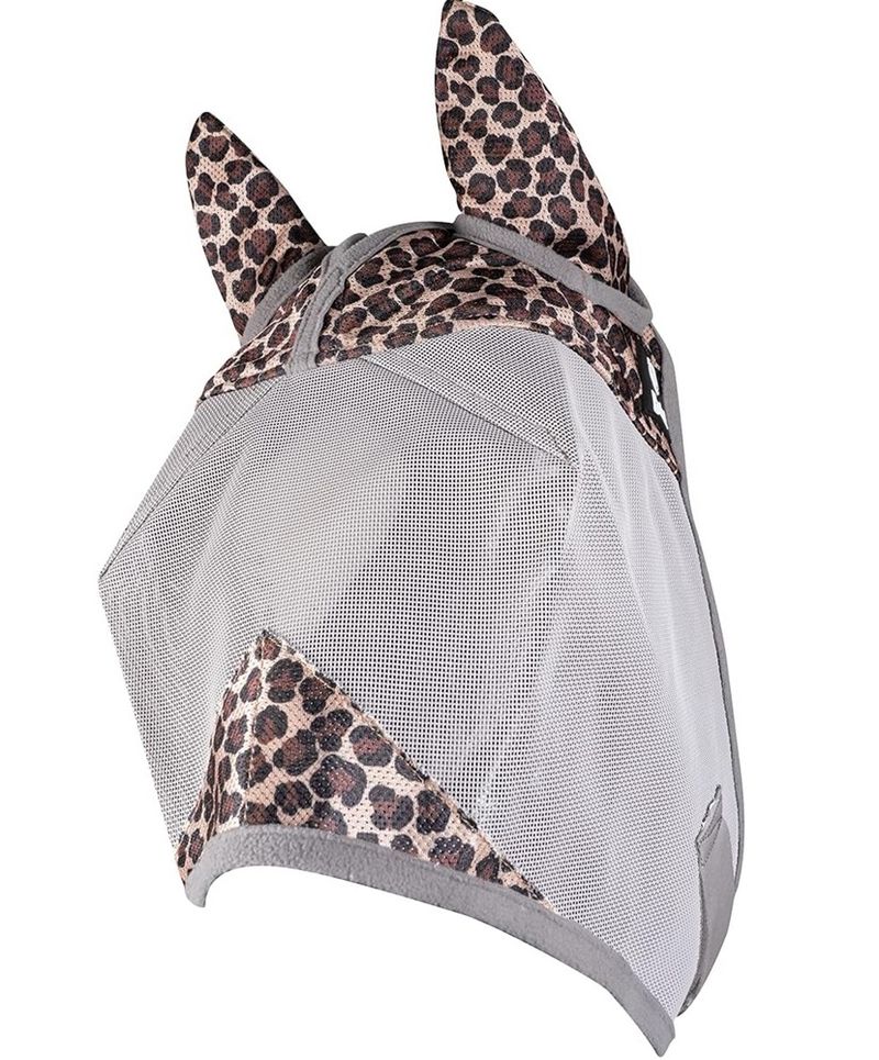 Cashel-CFMSE-LEOPARD