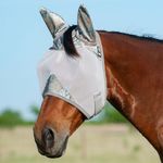 Cashel-CFMSE-Sagebrush-main