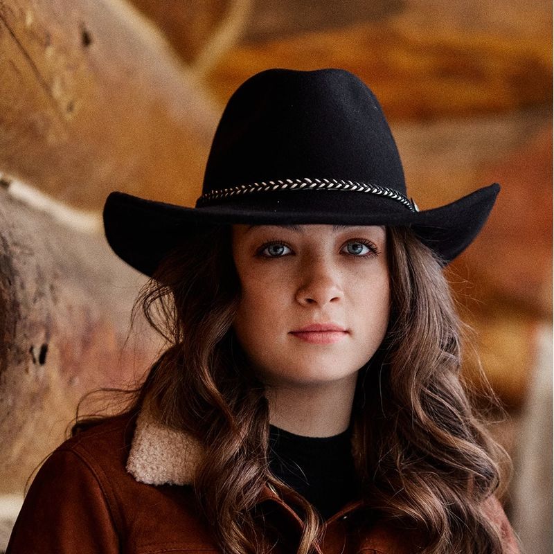 Stetson-SBRAWH-8334-model