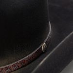 Stetson-SFBOTP-9990-hatband