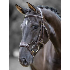 LeMieux Kudos Clear Arc Bridle - Havana