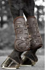 Tendon-Motion-Cool-Brown-life