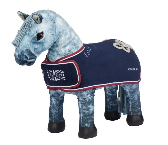 Toy-Pony-Winners-Rug