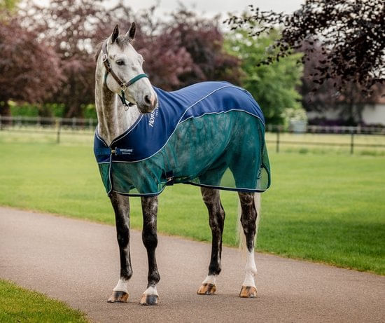 horseware-signature-sport-cooler
