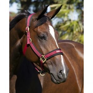 Back On Track Werano Halter - Burgundy