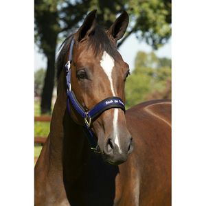 Back On Track Werano Halter - Navy