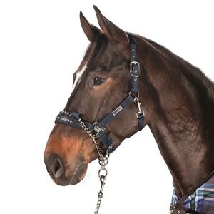 Eskadron Control Halter with Pin Buckle