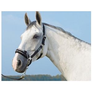 Eskadron Control Halter with Sliding Buckle