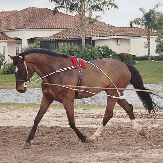 pessoa-lungeing-system