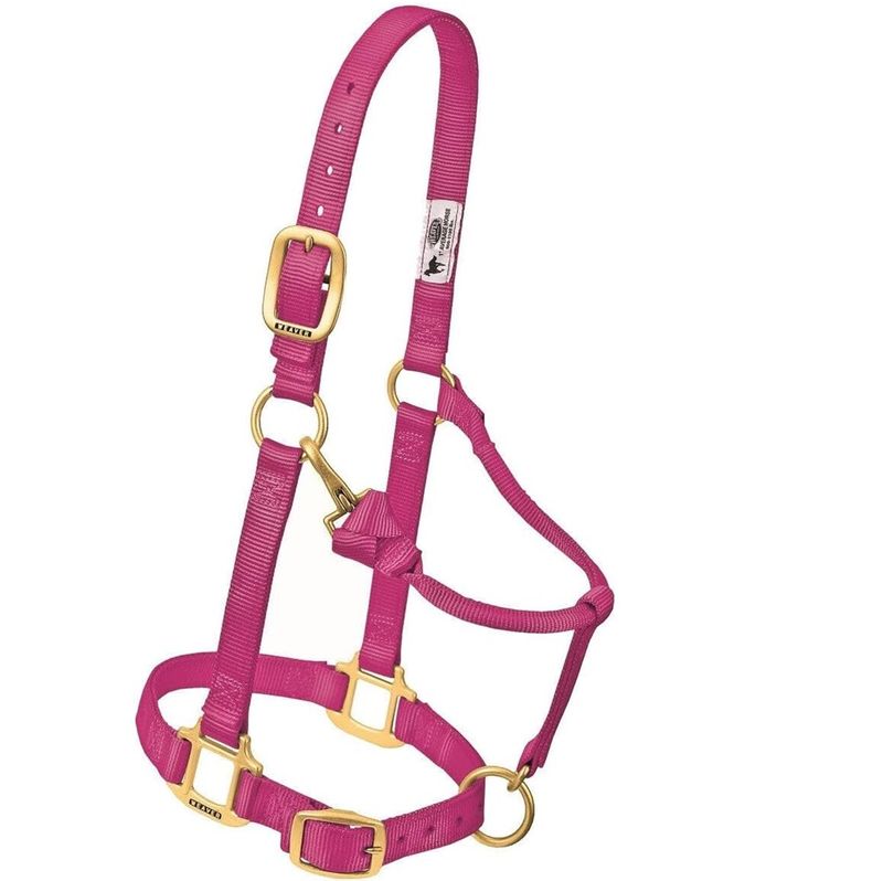 Weaver-35-7034-Raspberry