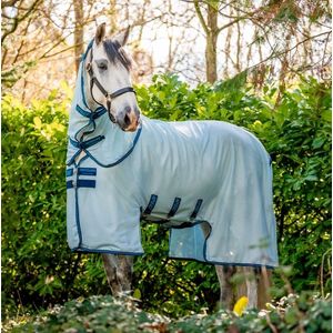 Amigo Bug Buster Fly Sheet (No Fill) - Azure Blue/Navy & Electric Blue