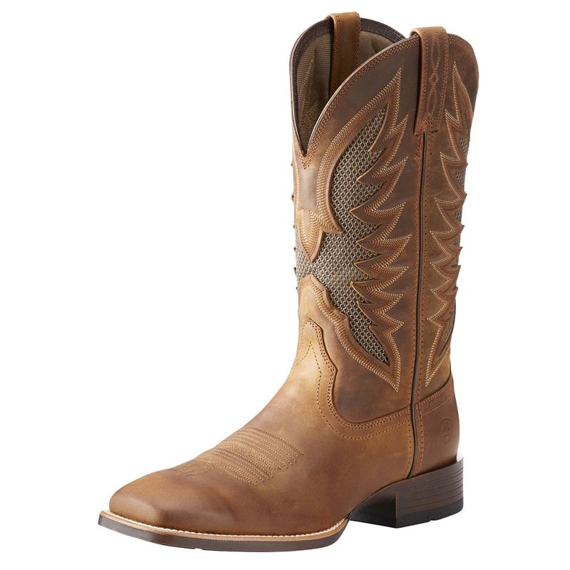 Ariat-10023129-main