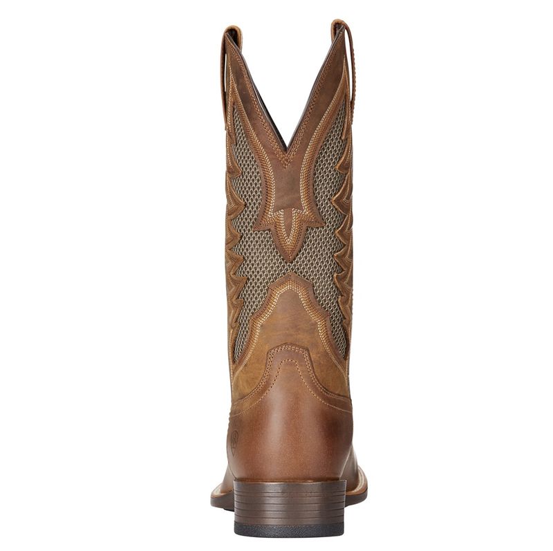 Ariat-10023129-back