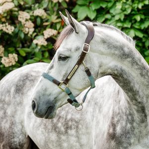 Horseware Ireland Signature Braided Halter - Brown/Navy & Blue Haze