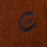 Charlie-1-Horse-CWCNWF-7242-Logo
