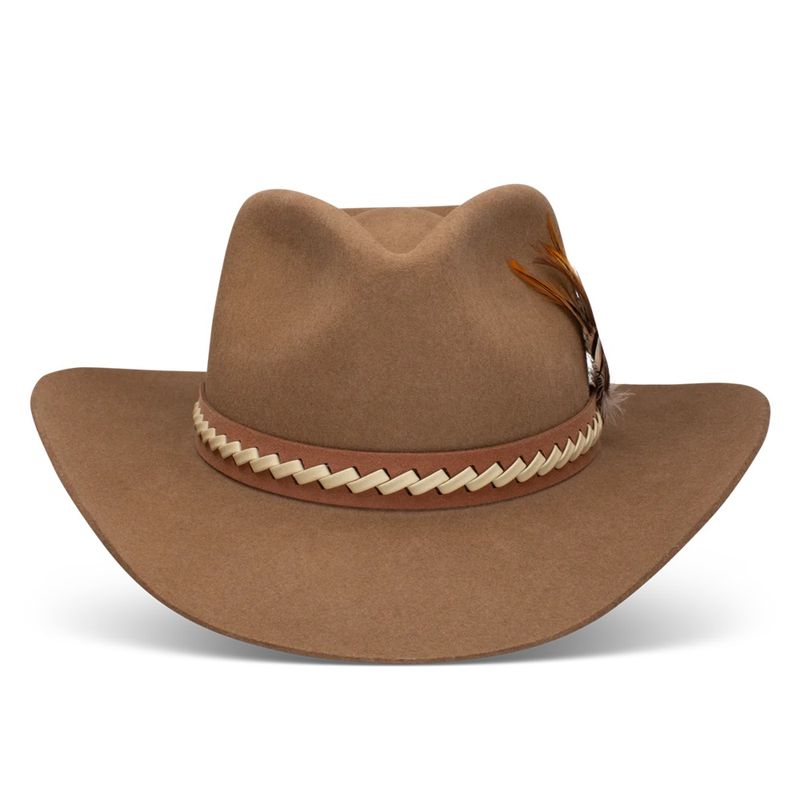 Charlie-1-Horse-CWRDRN-4232-P5-front