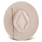 Charlie-1-Horse-CWSPPO-0340-71-top