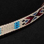 Charlie-1-Horse-CWWHRS-1536-07-hatband