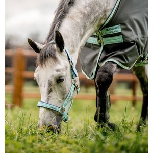 Horseware Ireland Field Safe Halter - Blue Haze