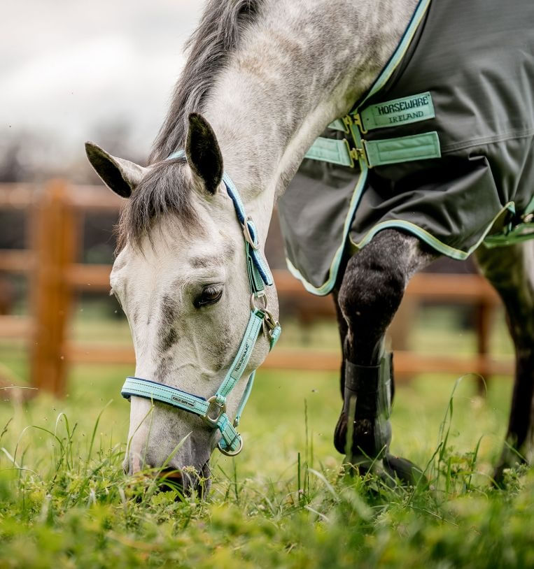 Horseware Field Safe Headcollar Blue Haze