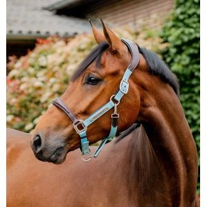 Horseware Ireland Signature Competition Halter - Brown/Blue Haze