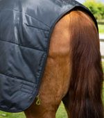 Premier-Equine-2068-rear