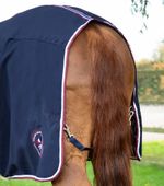 Premier-Equine-2154-rear