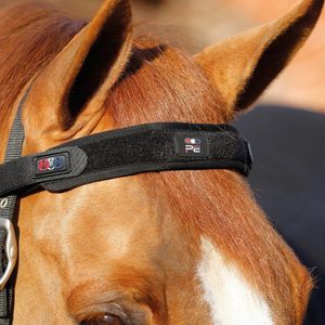 Premier Equine Magni-Teque Browband