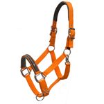 Schockemohle-1311-00001-orange-main