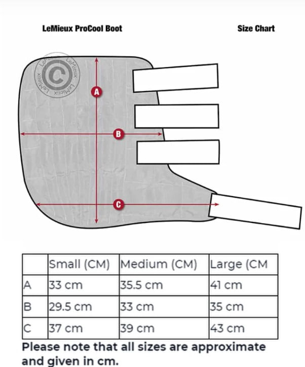 lemieux-procool-boot-size-chart