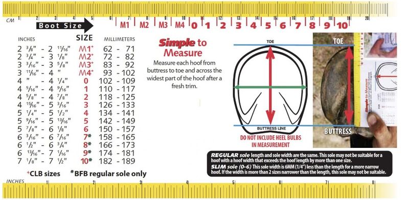 cavallo-simple-boot-regular-size-chart