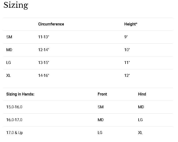 dsb2-size-chart