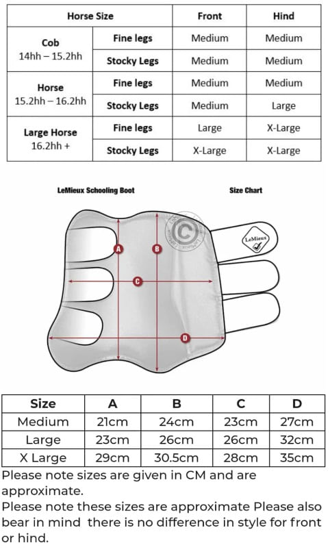 lemieux-schooling-boot-size-chart