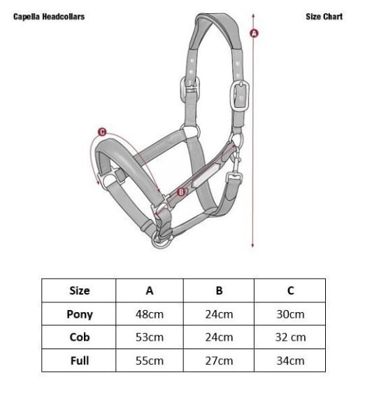 lemieux-capella-halter-size-chart