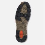 Irish-Setter-2815-sole