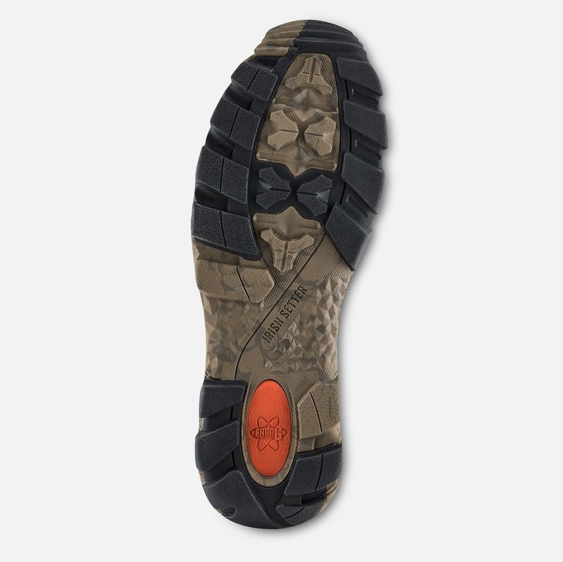 Irish-Setter-2815-sole