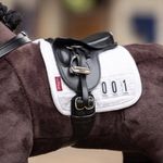Lemieux-IT004634001-model-1