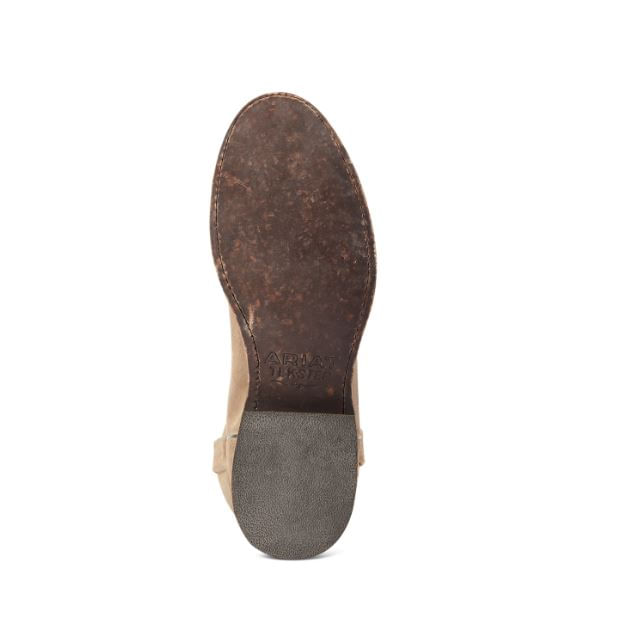 10044558-sole