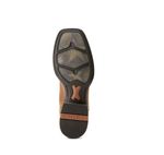 10053566-sole