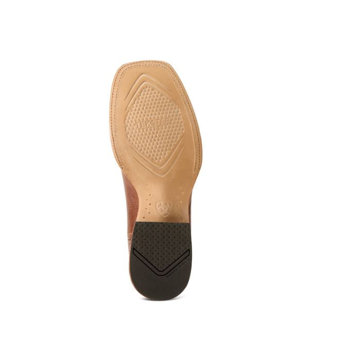 10061301-sole