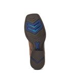 10042466-sole