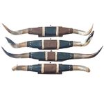 El-Paso-Cow-Horns