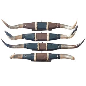 El Paso Polished Mounted Horn